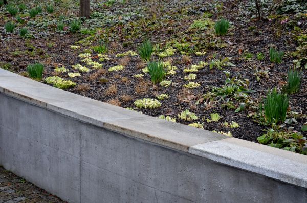 Concrete Wall Construction in New Albany