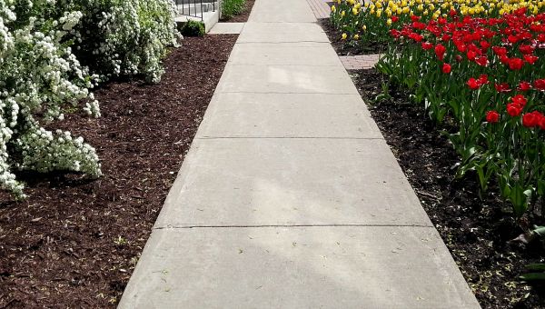 Cement Sidewalk Installation in New Albany
