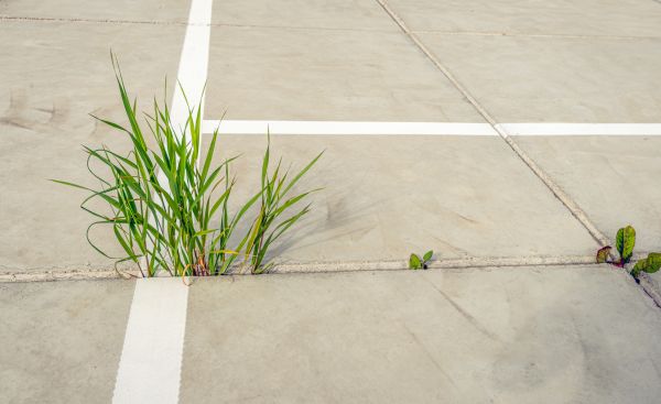 Concrete Parking Installation in New Albany