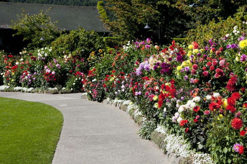 Concrete Path Installation